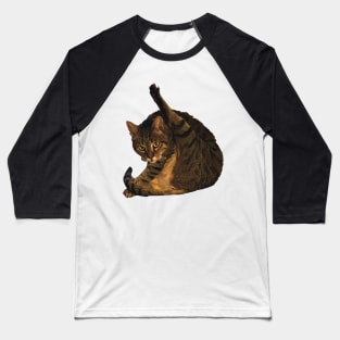 tabby cat funny meme cleaning his butt Baseball T-Shirt